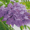 Jacaranda Tree Diamond Painting