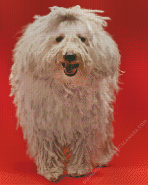 Komondor Diamond Painting