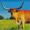 Longhorn Diamond Painting