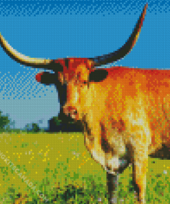 Longhorn Diamond Painting