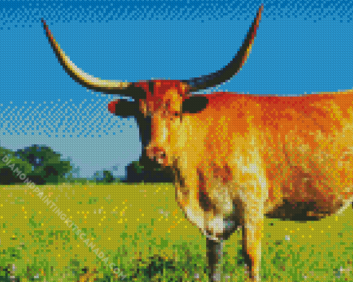 Longhorn Diamond Painting