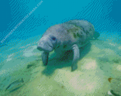 Manatee Animal Underwater Diamond Painting