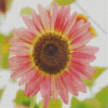 Pink Helianthus Sunflower Diamond Painting