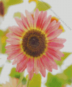 Pink Helianthus Sunflower Diamond Painting