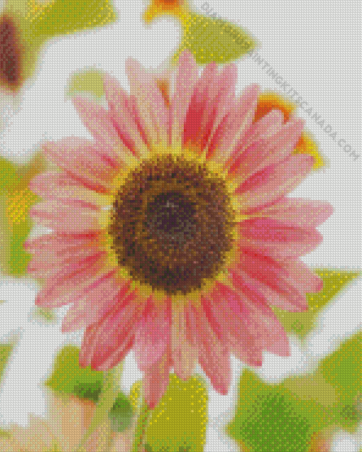 Pink Helianthus Sunflower Diamond Painting