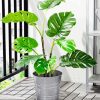 Potted Plant Indoor Outdoor Monstera Diamond Painting