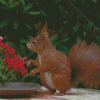 Red Squirrel Smelling Flowers Diamond Painting