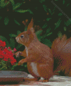 Red Squirrel Smelling Flowers Diamond Painting