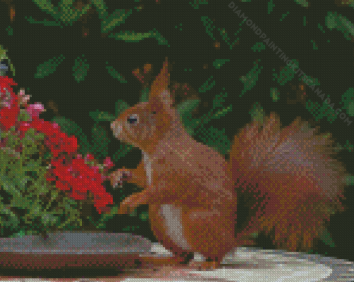 Red Squirrel Smelling Flowers Diamond Painting