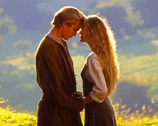 Romantic Couple The Princess Bride Diamond Painting