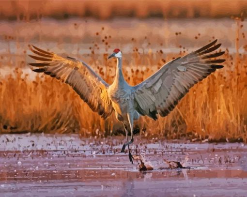 Sandhill Crane Diamond Painting