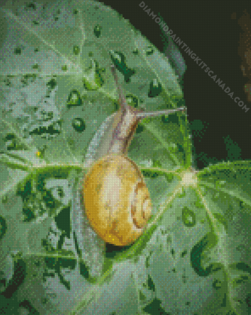 Snail Ivy Leaf Diamond Painting