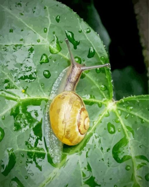 Snail Ivy Leaf Diamond Painting