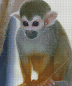 Spider Monkey Diamond Painting