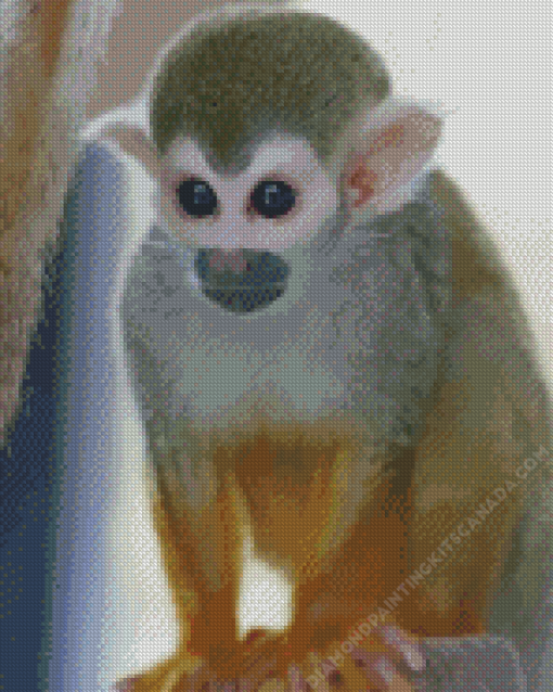 Spider Monkey Diamond Painting