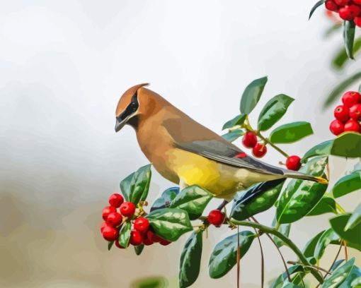 Waxwing Bird Diamond Painting