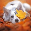 White Dog In Leaves Diamond Painting