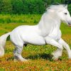 White Friesian Horse Diamond Painting