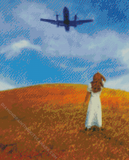 Woman in Field Looking Up at an Airplane Diamond Painting