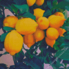 Yellow Lemon Tree Diamond Painting