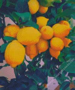 Yellow Lemon Tree Diamond Painting