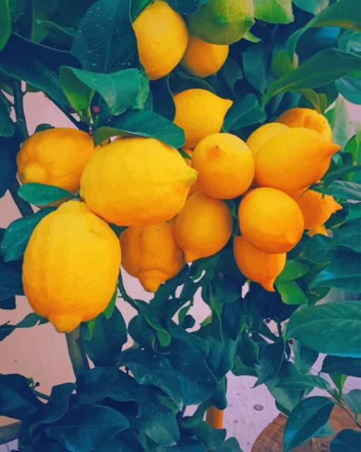 Yellow Lemon Tree Diamond Painting