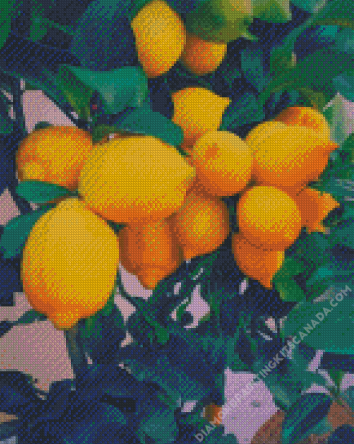 Yellow Lemon Tree Diamond Painting