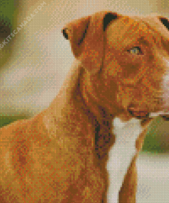 American Brown PitBull Terrier Diamond Painting