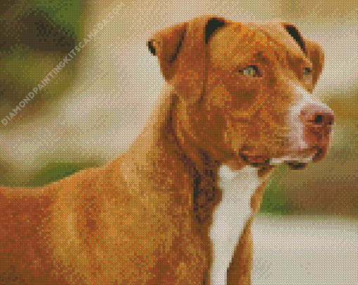 American Brown PitBull Terrier Diamond Painting