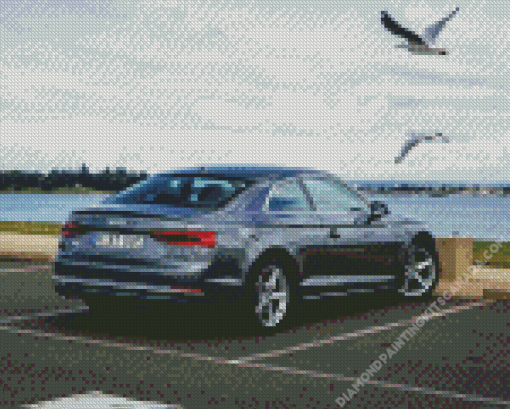 Audi and Birds Diamond Painting