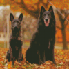 Belgian Sheepdog on Autumn Leaves Diamond Painting