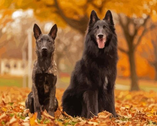 Belgian Sheepdog on Autumn Leaves Diamond Painting