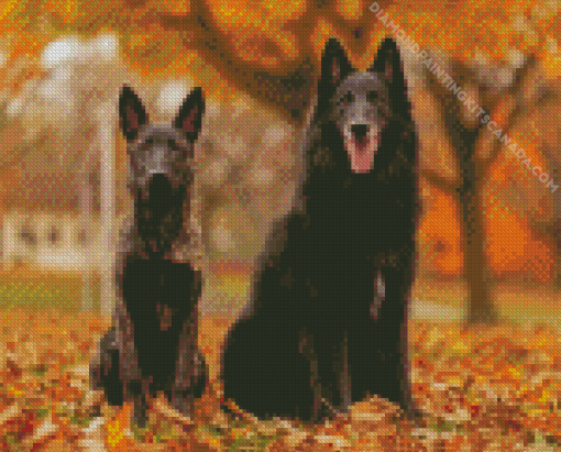 Belgian Sheepdog on Autumn Leaves Diamond Painting