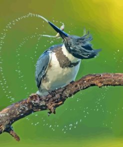 Belted Kingfisher on A Branch Diamond Painting