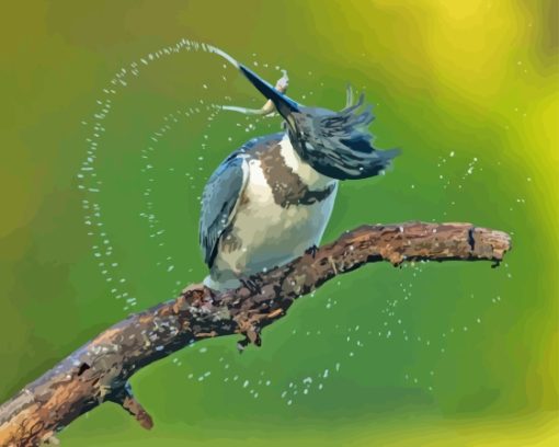 Belted Kingfisher on A Branch Diamond Painting