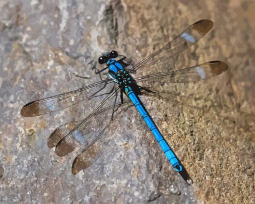 Black And Blue Dragonfly Diamond Painting