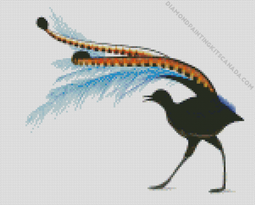 Black Lyrebird Art Diamond Painting