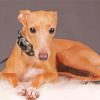 Blonde Italian Greyhound Diamond Painting