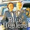 Blue Heelers Poster Diamond Painting