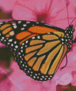 Butterfly Monarch On A Pink Flower Diamond Painting