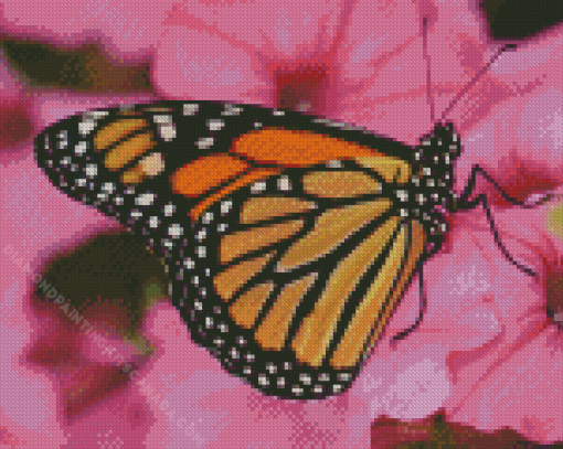 Butterfly Monarch On A Pink Flower Diamond Painting