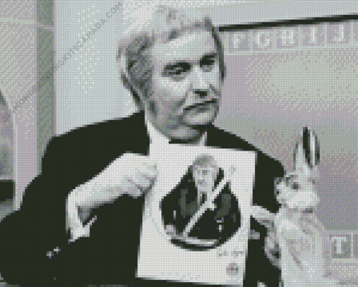 Captain Kangaroo Series Character Diamond Painting