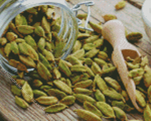 Cardamom in a Jar Diamond Painting