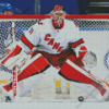 Carolina Hurricanes Frederik Andersen Diamond Painting