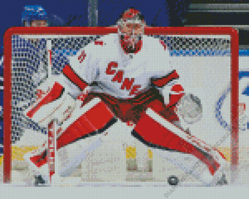 Carolina Hurricanes Frederik Andersen Diamond Painting