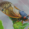 Cicadas Insect Diamond Painting