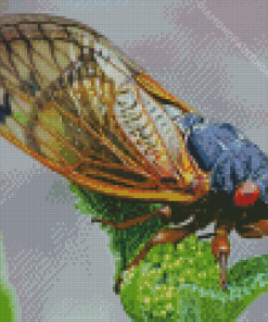 Cicadas Insect Diamond Painting