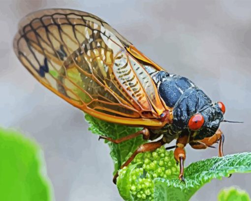 Cicadas Insect Diamond Painting