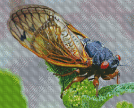 Cicadas Insect Diamond Painting