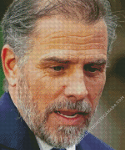 Close up Hunter Biden Diamond Painting